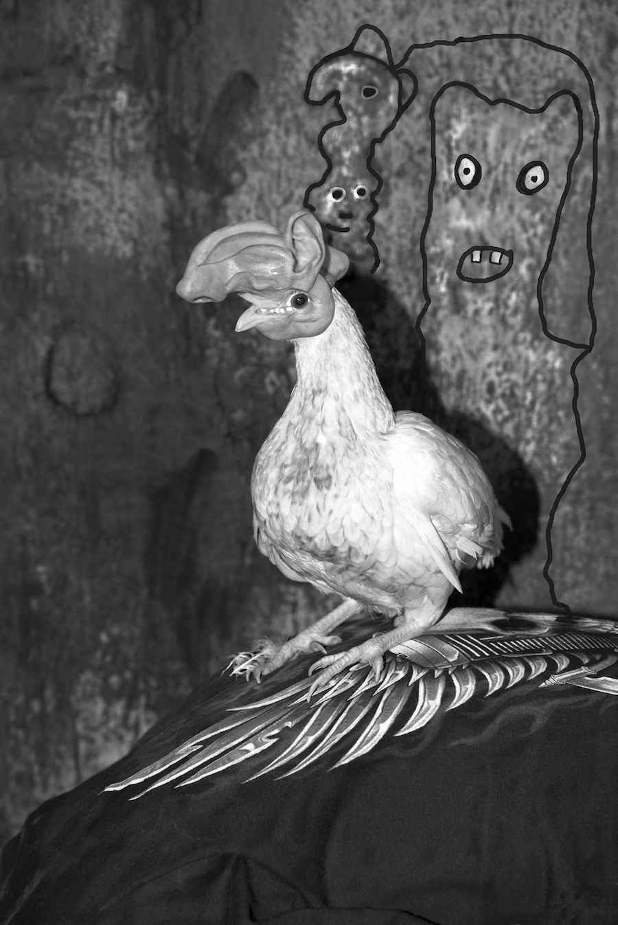 Carousel Image number 6